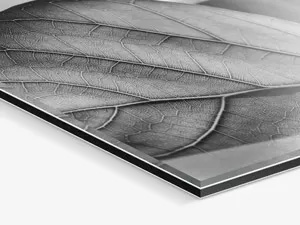 Ilford B&W Photo Print Under Acrylic Glass